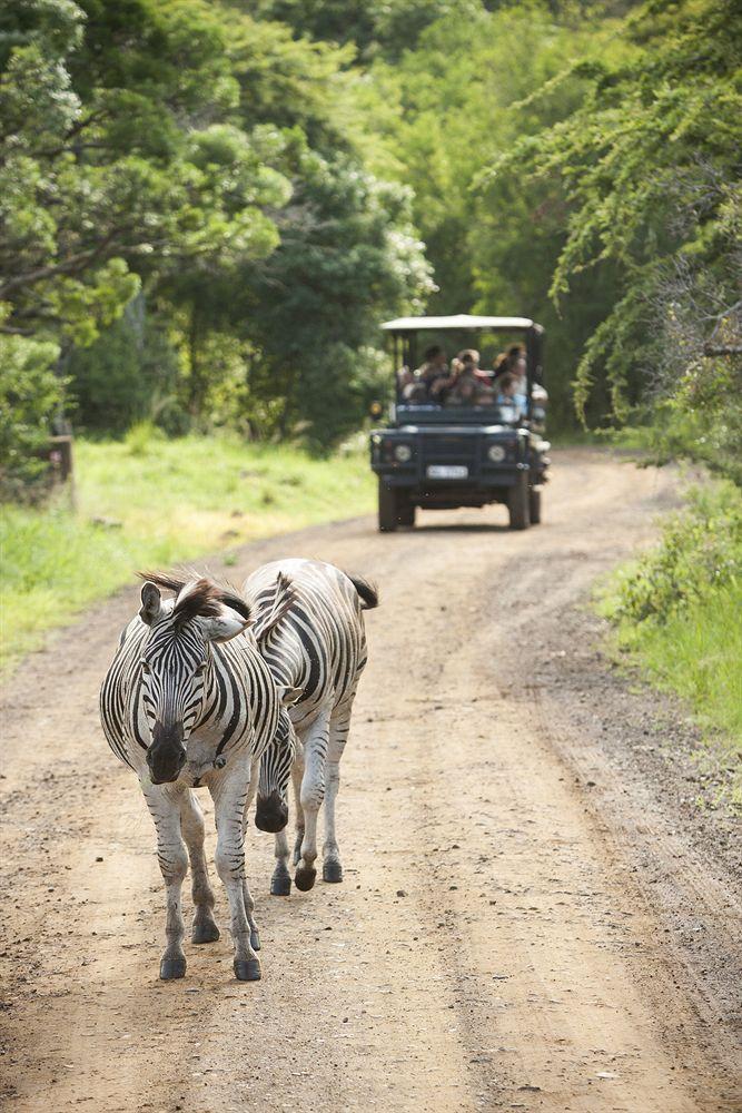 Zululand Safari Lodge Hluhluwe Bagian luar foto